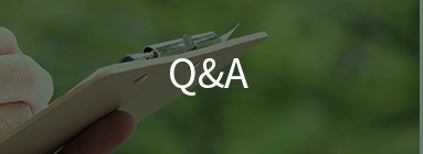 Q&A