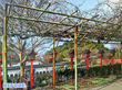 愛知県犬山市　S様邸